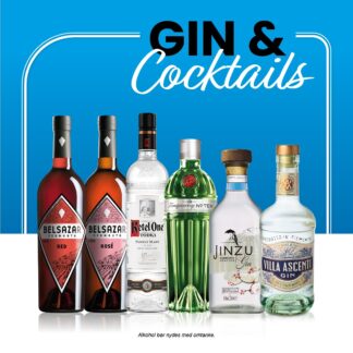 Gin og Cocktailsmagning
